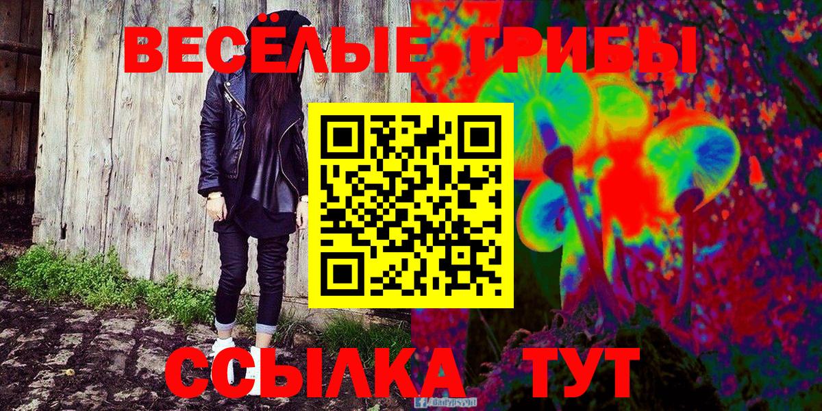 Галлюциногенные грибы мухоморы  Псилоцибиновые грибы Psilocybe  Вход с VPN  Зеленодольск 